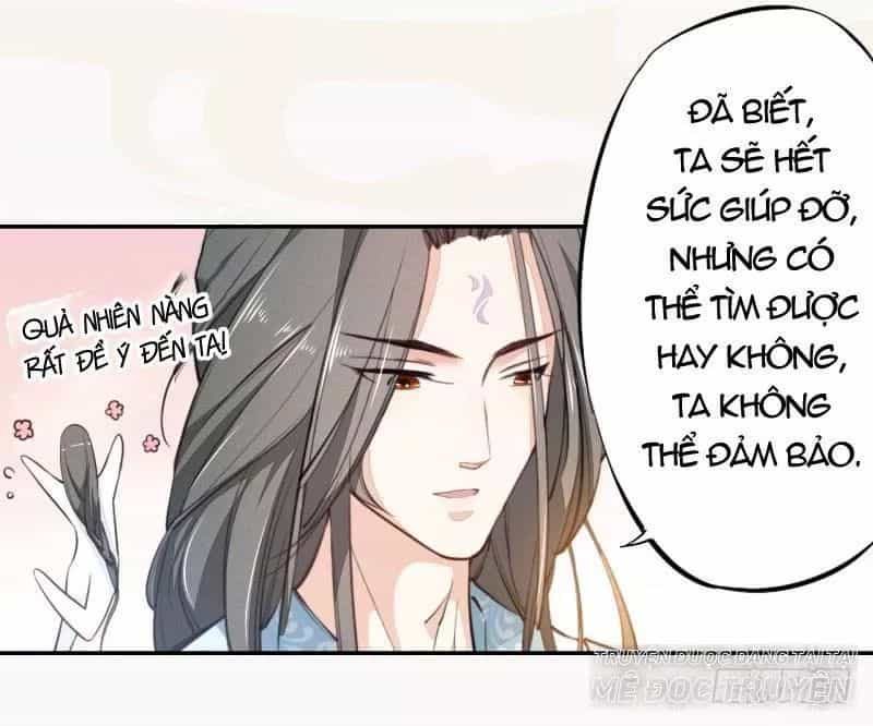 Tuyệt Thế Luyện Đan Sư - Chương 32 - ảnh 31