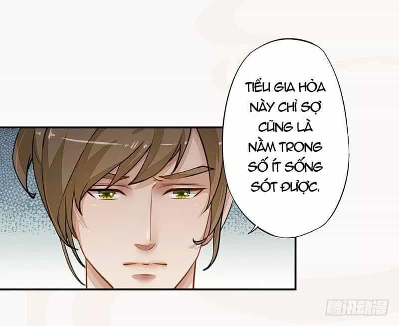 Tuyệt Thế Luyện Đan Sư - Chương 34 - ảnh 23