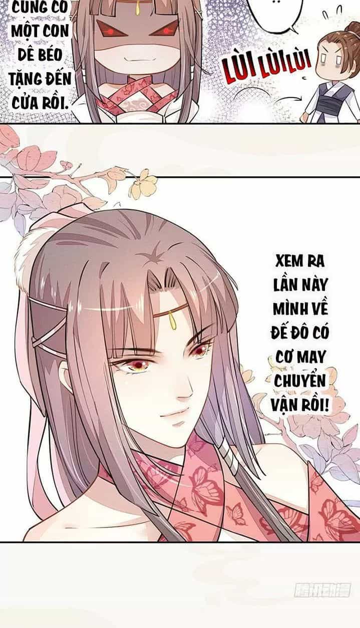 Tuyệt Thế Luyện Đan Sư - Chương 36 - ảnh 21