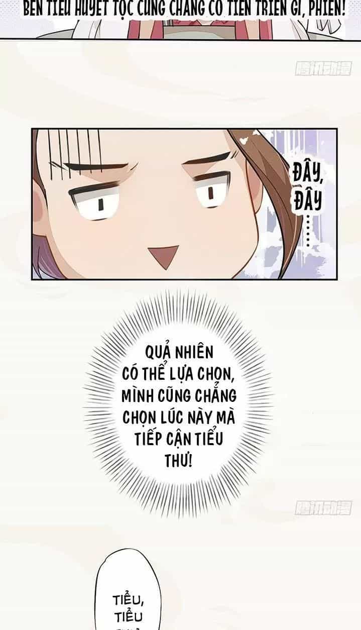 Tuyệt Thế Luyện Đan Sư - Chương 36 - ảnh 7