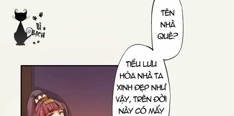 Tuyệt Thế Luyện Đan Sư - Chương 4 - ảnh 36