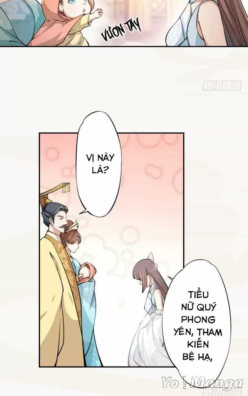 Tuyệt Thế Luyện Đan Sư - Chương 41 - ảnh 14