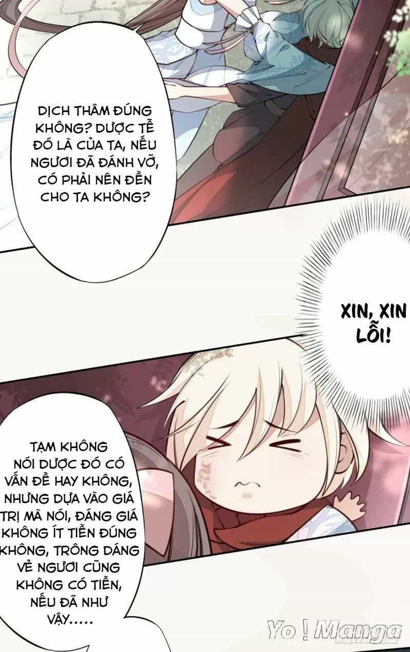Tuyệt Thế Luyện Đan Sư - Chương 44 - ảnh 23