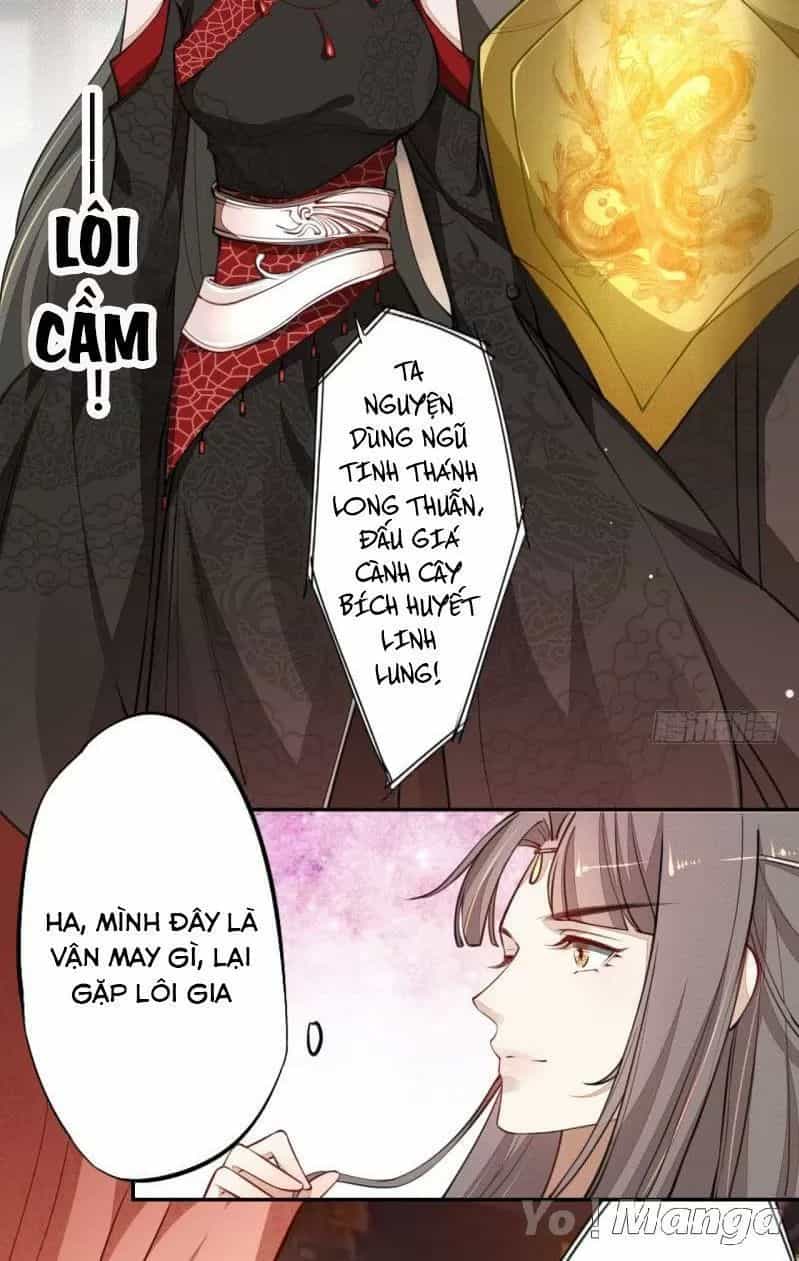 Tuyệt Thế Luyện Đan Sư - Chương 45 - ảnh 20