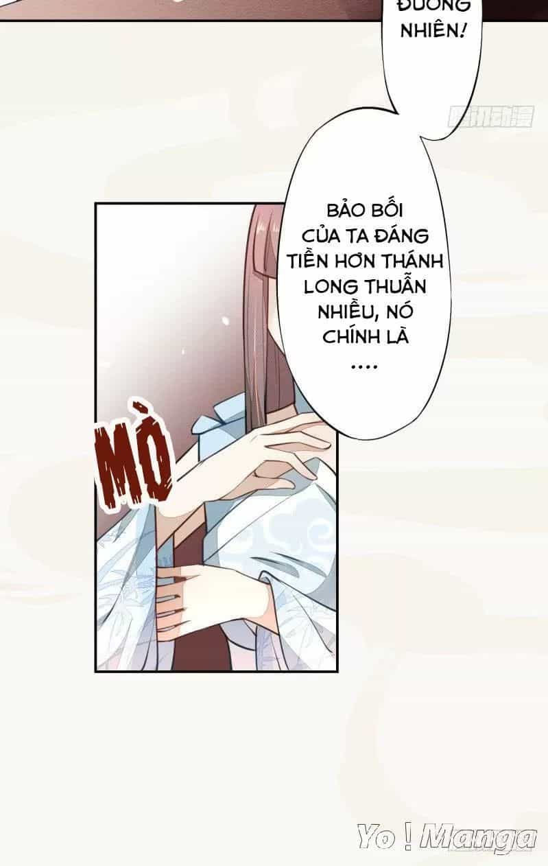 Tuyệt Thế Luyện Đan Sư - Chương 45 - ảnh 28