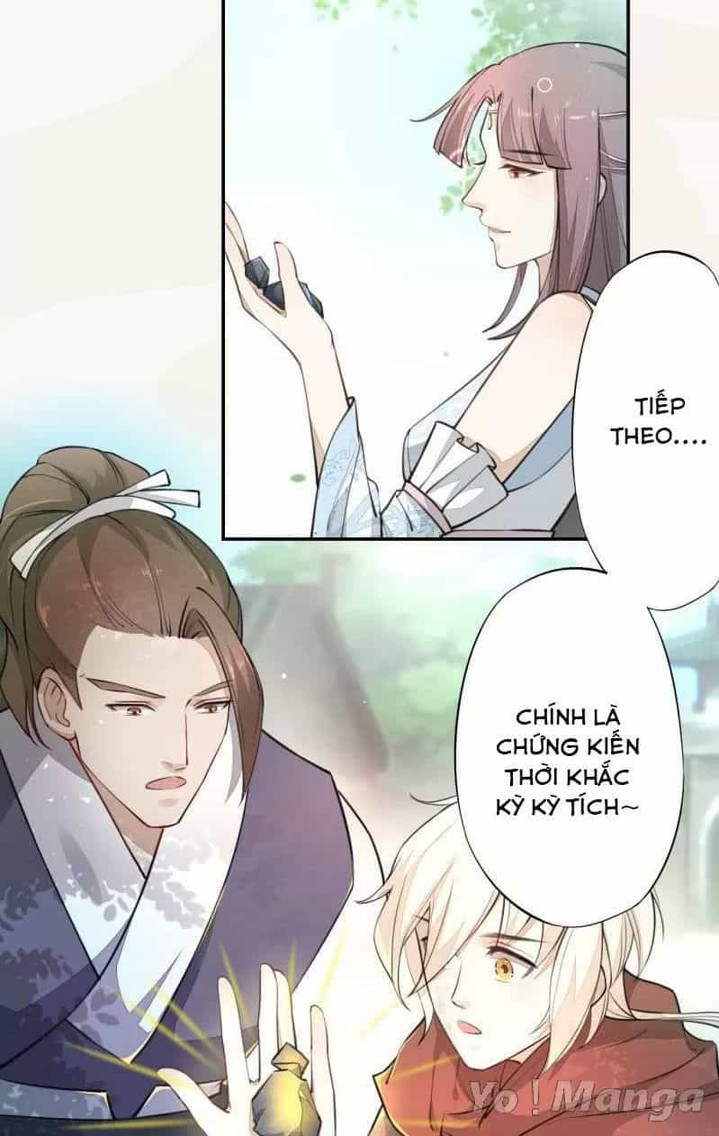 Tuyệt Thế Luyện Đan Sư - Chương 45 - ảnh 4