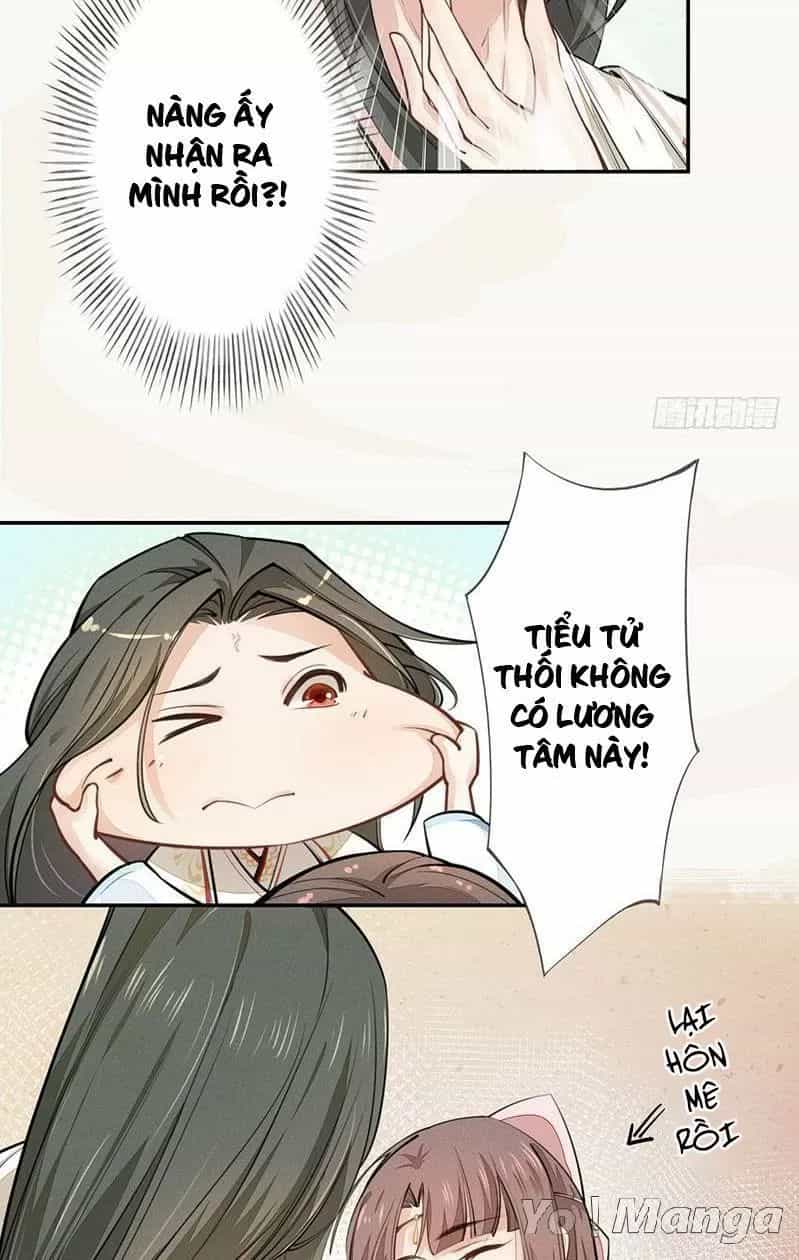 Tuyệt Thế Luyện Đan Sư - Chương 47 - ảnh 16