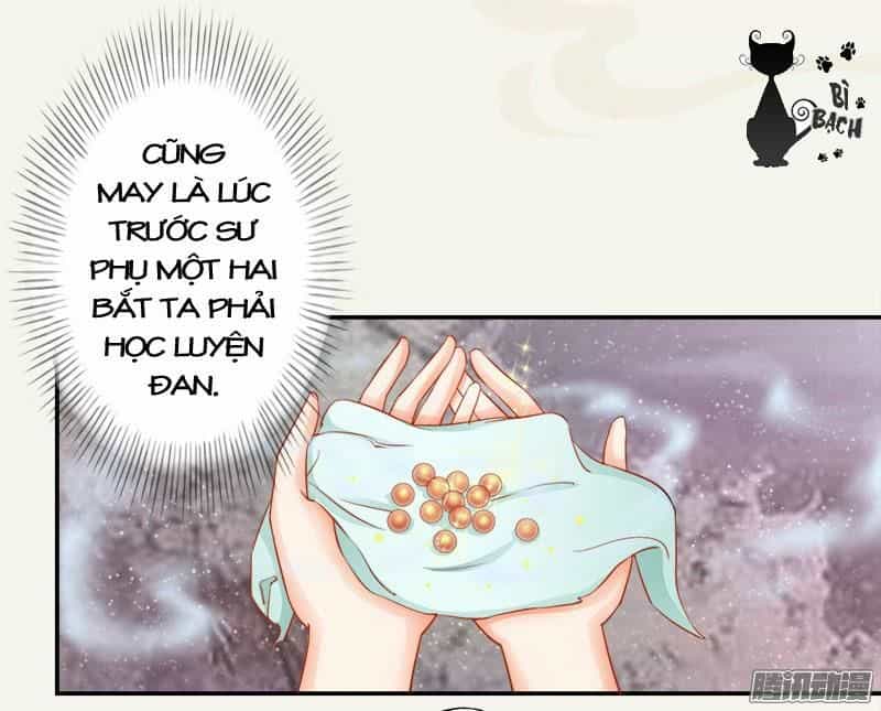 Tuyệt Thế Luyện Đan Sư - Chương 5 - ảnh 17