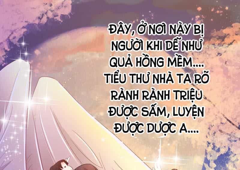 Tuyệt Thế Luyện Đan Sư - Chương 5 - ảnh 30
