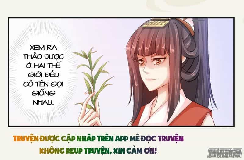 Tuyệt Thế Luyện Đan Sư - Chương 5 - ảnh 7