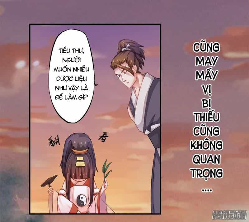 Tuyệt Thế Luyện Đan Sư - Chương 5 - ảnh 8