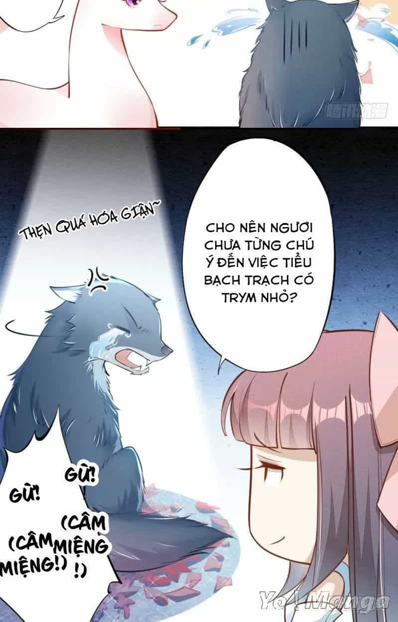 Tuyệt Thế Luyện Đan Sư - Chương 51 - ảnh 30