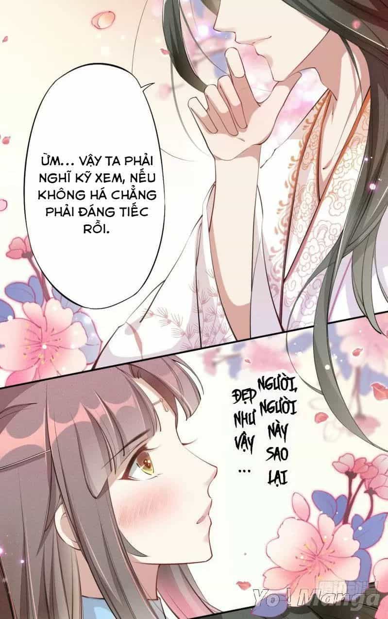 Tuyệt Thế Luyện Đan Sư - Chương 54 - ảnh 11