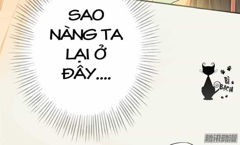 Tuyệt Thế Luyện Đan Sư - Chương 6 - ảnh 17