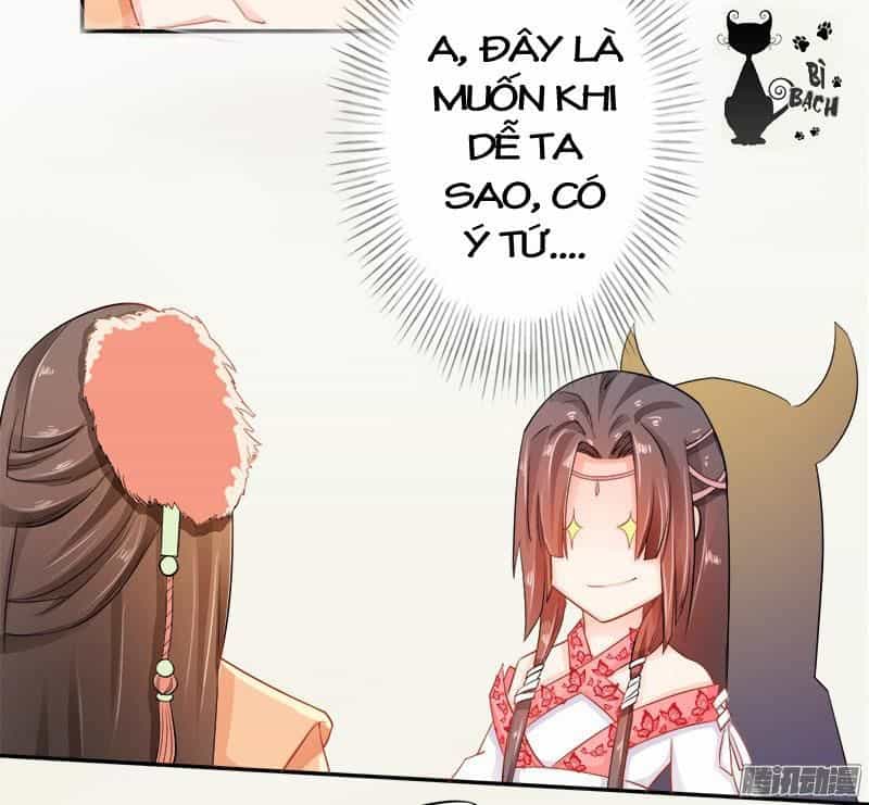 Tuyệt Thế Luyện Đan Sư - Chương 6 - ảnh 24