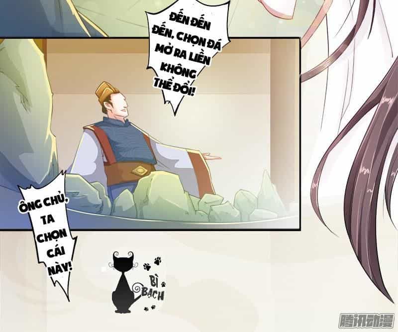 Tuyệt Thế Luyện Đan Sư - Chương 6 - ảnh 3