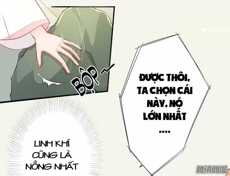 Tuyệt Thế Luyện Đan Sư - Chương 6 - ảnh 35