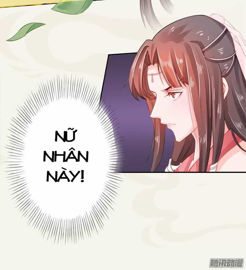 Tuyệt Thế Luyện Đan Sư - Chương 6 - ảnh 48