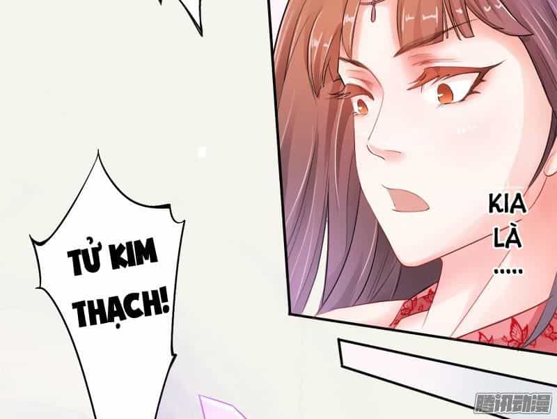 Tuyệt Thế Luyện Đan Sư - Chương 6 - ảnh 5