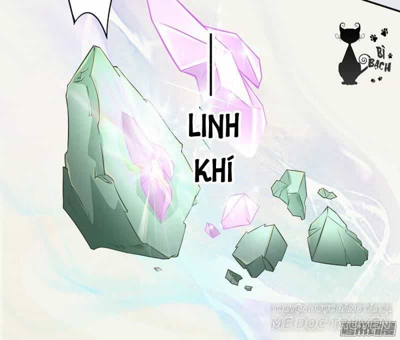 Tuyệt Thế Luyện Đan Sư - Chương 6 - ảnh 6
