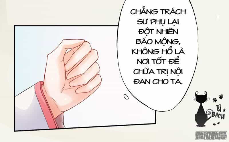 Tuyệt Thế Luyện Đan Sư - Chương 6 - ảnh 9