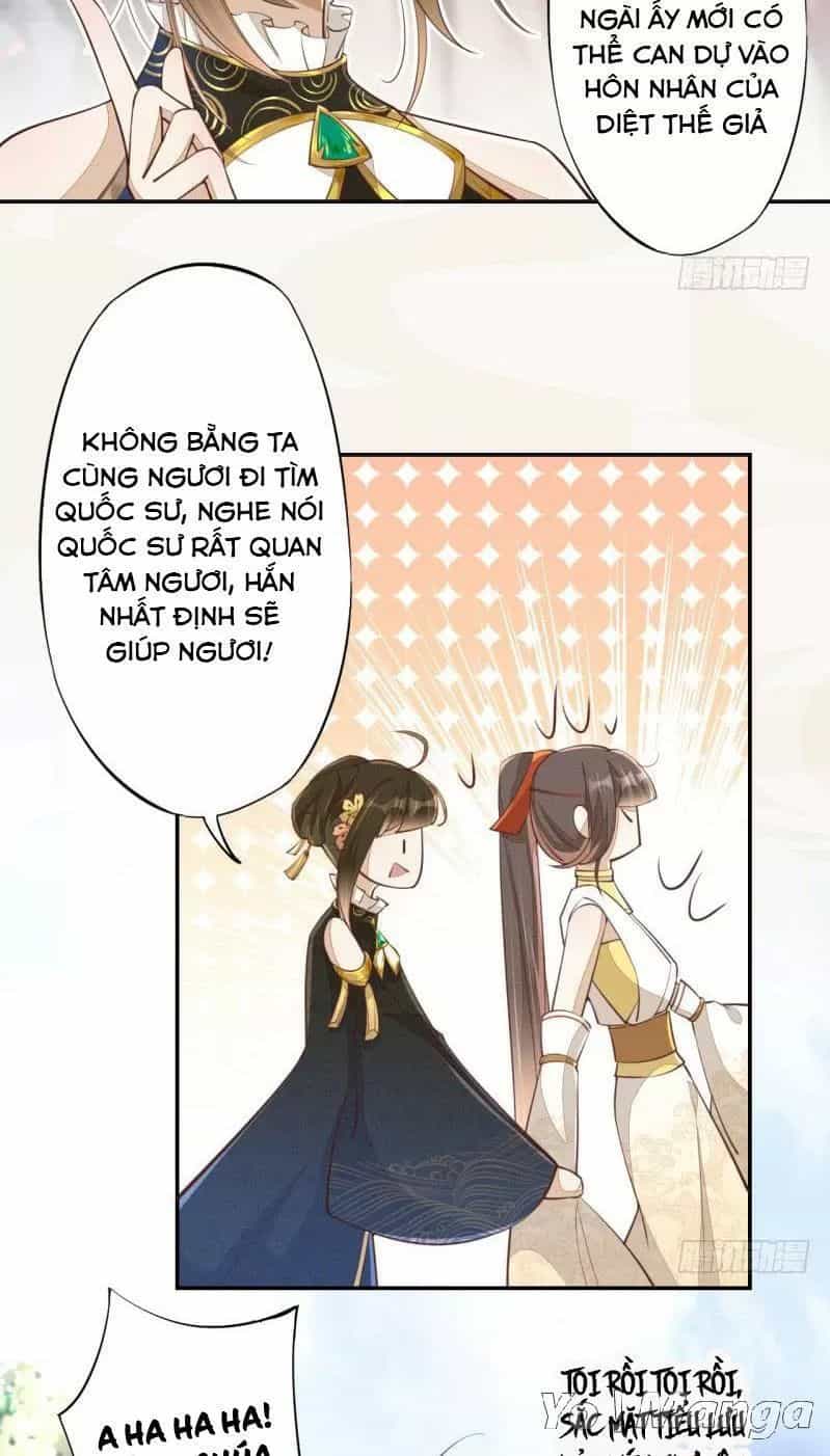 Tuyệt Thế Luyện Đan Sư - Chương 67 - ảnh 25