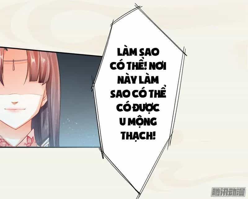 Tuyệt Thế Luyện Đan Sư - Chương 7 - ảnh 14
