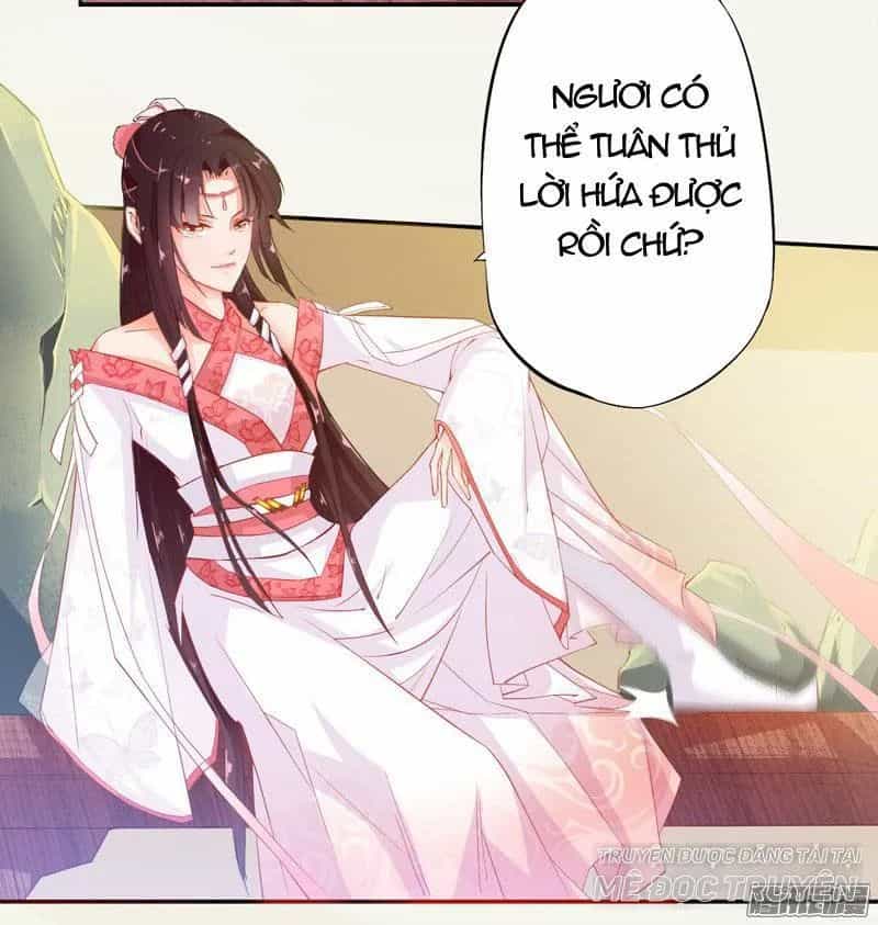 Tuyệt Thế Luyện Đan Sư - Chương 7 - ảnh 21