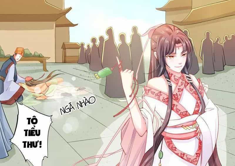 Tuyệt Thế Luyện Đan Sư - Chương 7 - ảnh 48