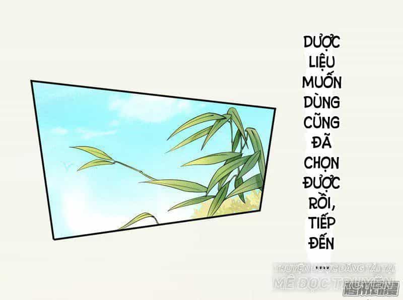 Tuyệt Thế Luyện Đan Sư - Chương 7 - ảnh 51