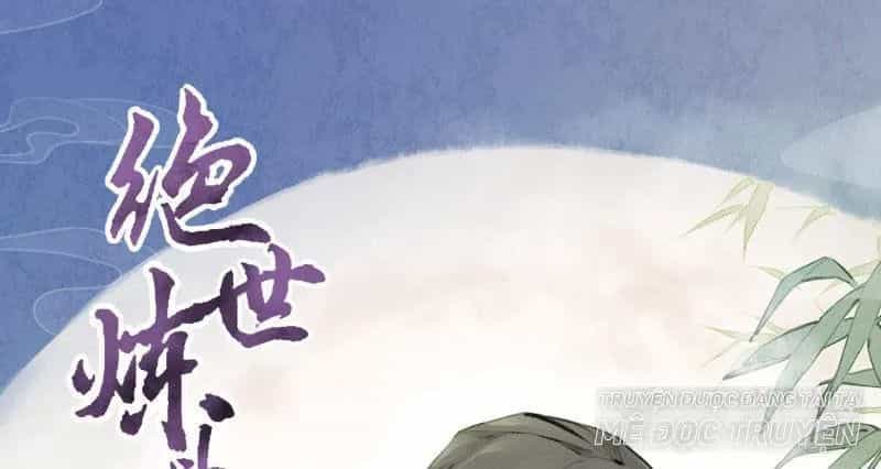 Tuyệt Thế Luyện Đan Sư - Chương 8 - ảnh 1