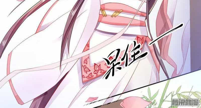 Tuyệt Thế Luyện Đan Sư - Chương 8 - ảnh 10