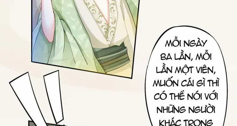 Tuyệt Thế Luyện Đan Sư - Chương 8 - ảnh 43