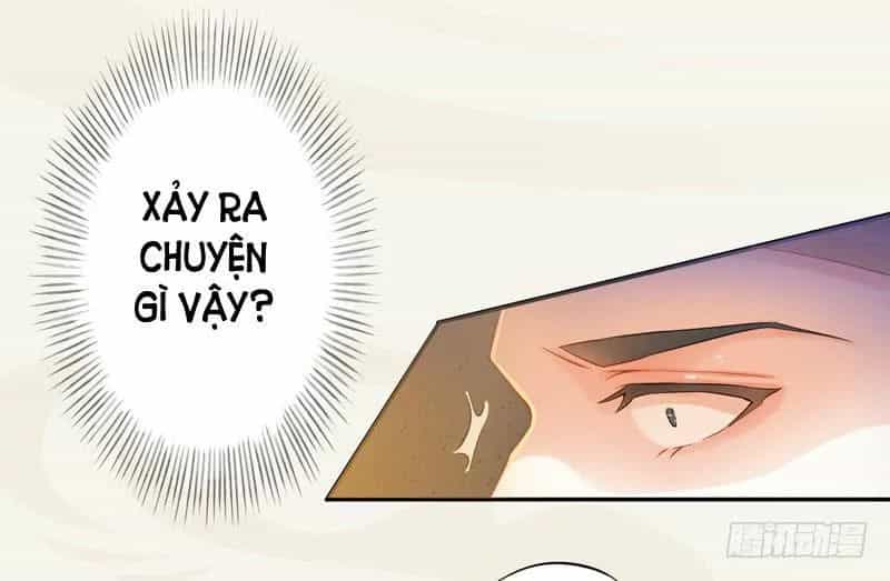 Tuyệt Thế Luyện Đan Sư - Chương 9 - ảnh 5