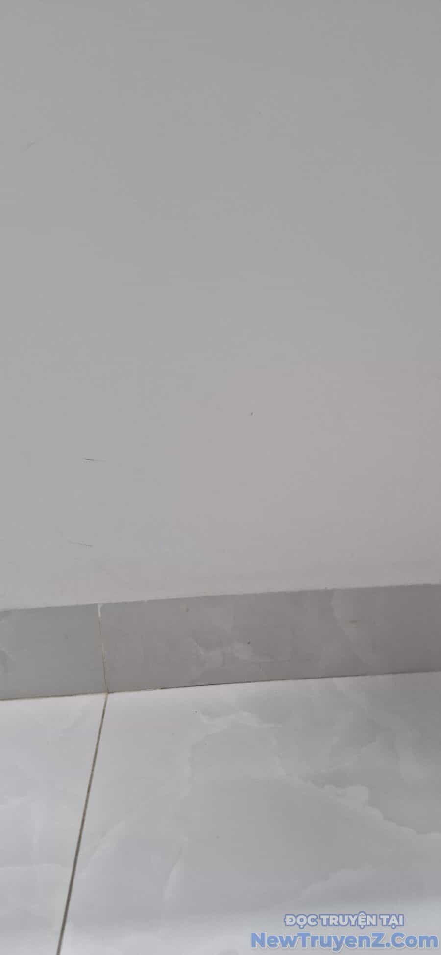 Tuyệt Thế Quân Lâm - Chương 40 - ảnh 1