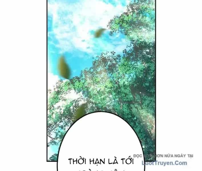 Tuyệt Thế Sát Thủ Hồi Quy Tại Học Viện - Chương 8 - ảnh 113