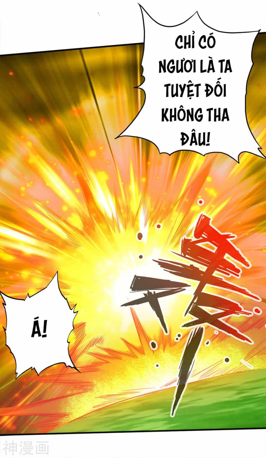 Tuyệt Thế Võ Công - Chương 118 - ảnh 30