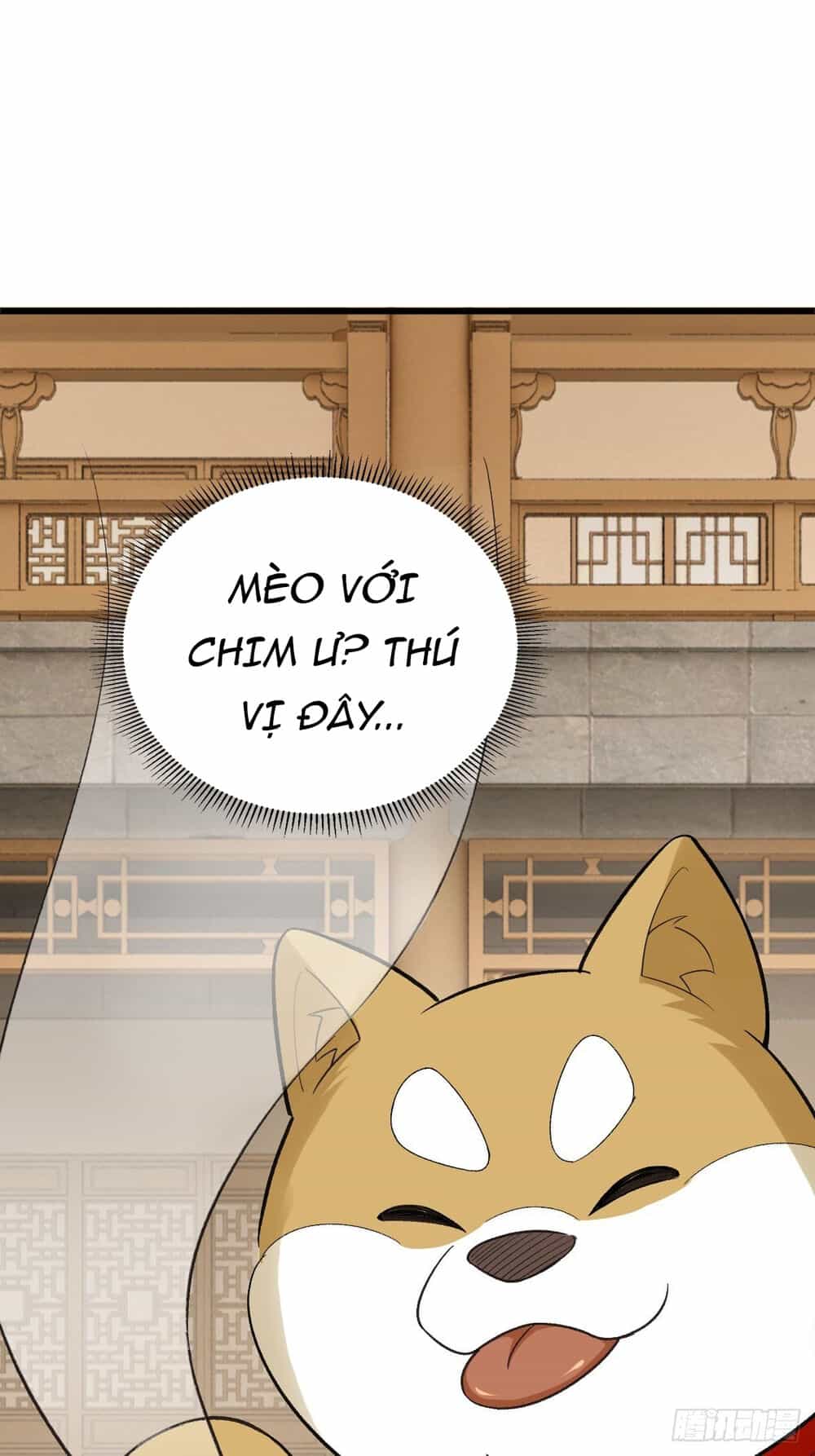 Tuyệt Thế Võ Công - Chương 13 - ảnh 11