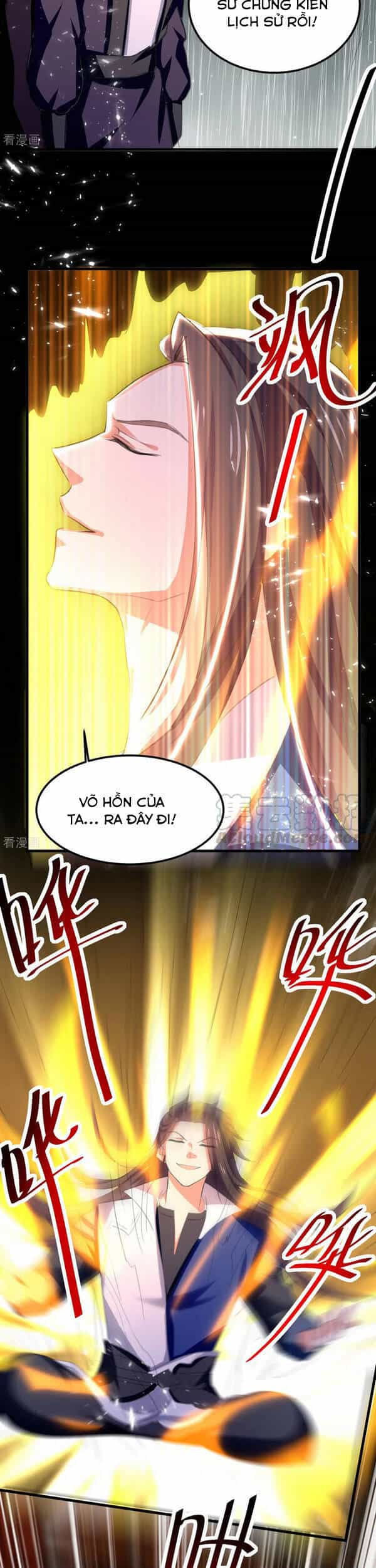 Tuyệt Thế Võ Hồn - Chương 74 - ảnh 11