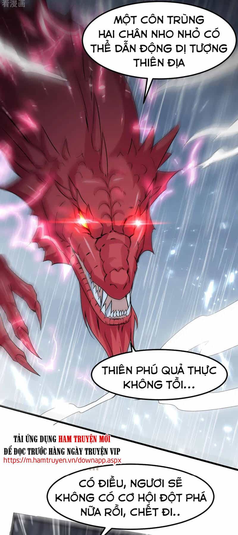 Tuyệt Thế Võ Hồn - Chương 76 - ảnh 29