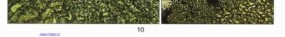 Tuyệt Thế Vô Song 2 - Chương 48 - ảnh 16