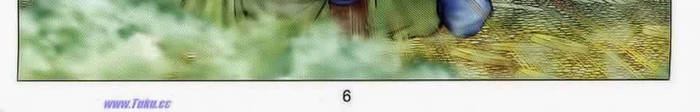 Tuyệt Thế Vô Song 2 - Chương 54 - ảnh 10