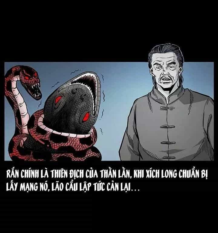 U Minh Ngụy Tượng - Chương 78 - ảnh 35