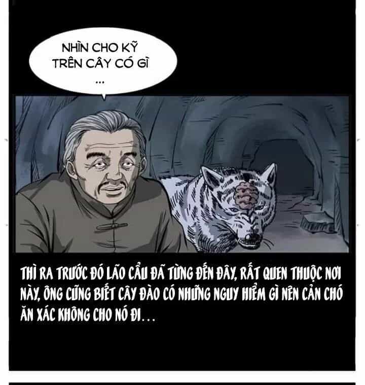 U Minh Ngụy Tượng - Chương 85 - ảnh 29