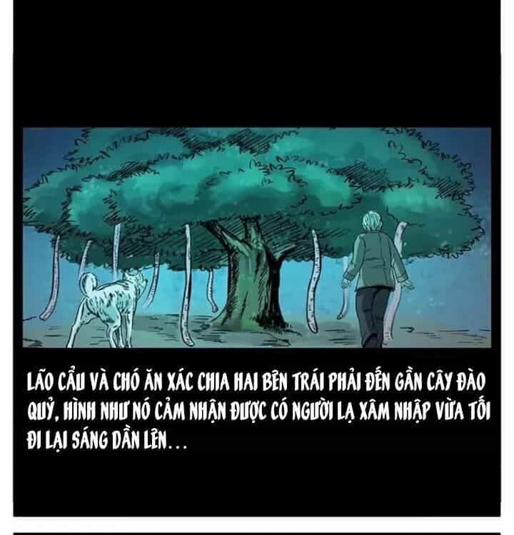 U Minh Ngụy Tượng - Chương 85 - ảnh 65