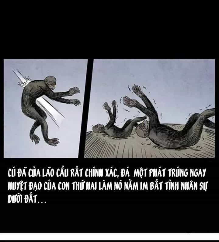 U Minh Ngụy Tượng - Chương 86 - ảnh 15