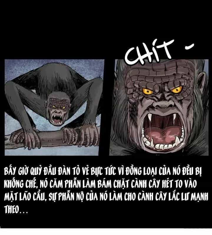U Minh Ngụy Tượng - Chương 86 - ảnh 21