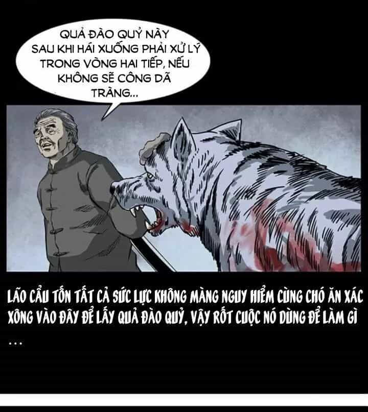 U Minh Ngụy Tượng - Chương 86 - ảnh 81