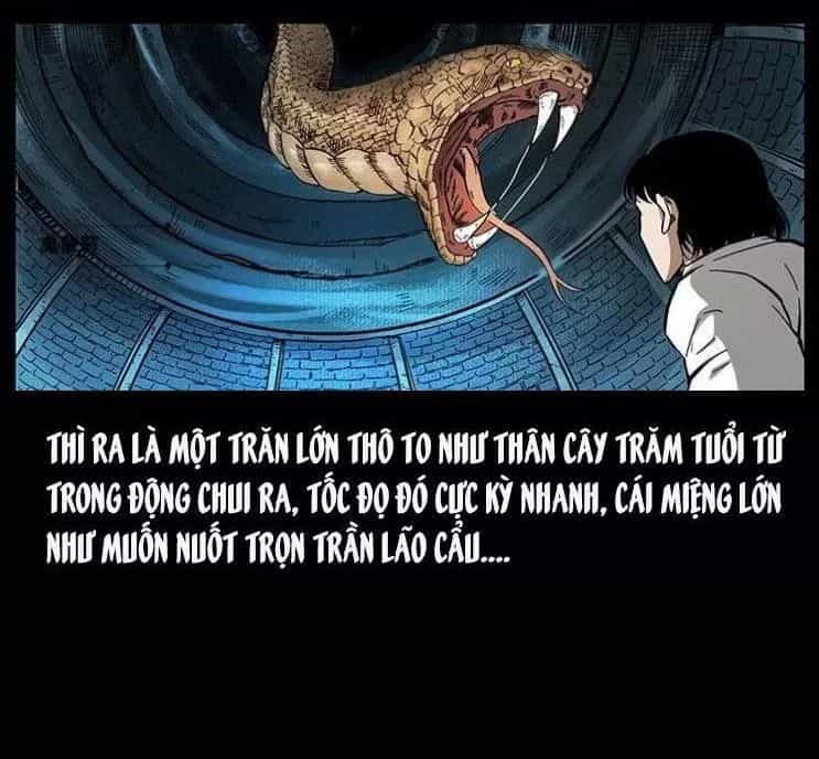 U Minh Ngụy Tượng - Chương 141 - ảnh 90