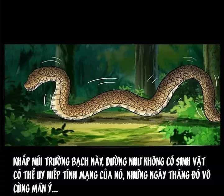 U Minh Ngụy Tượng - Chương 142 - ảnh 44